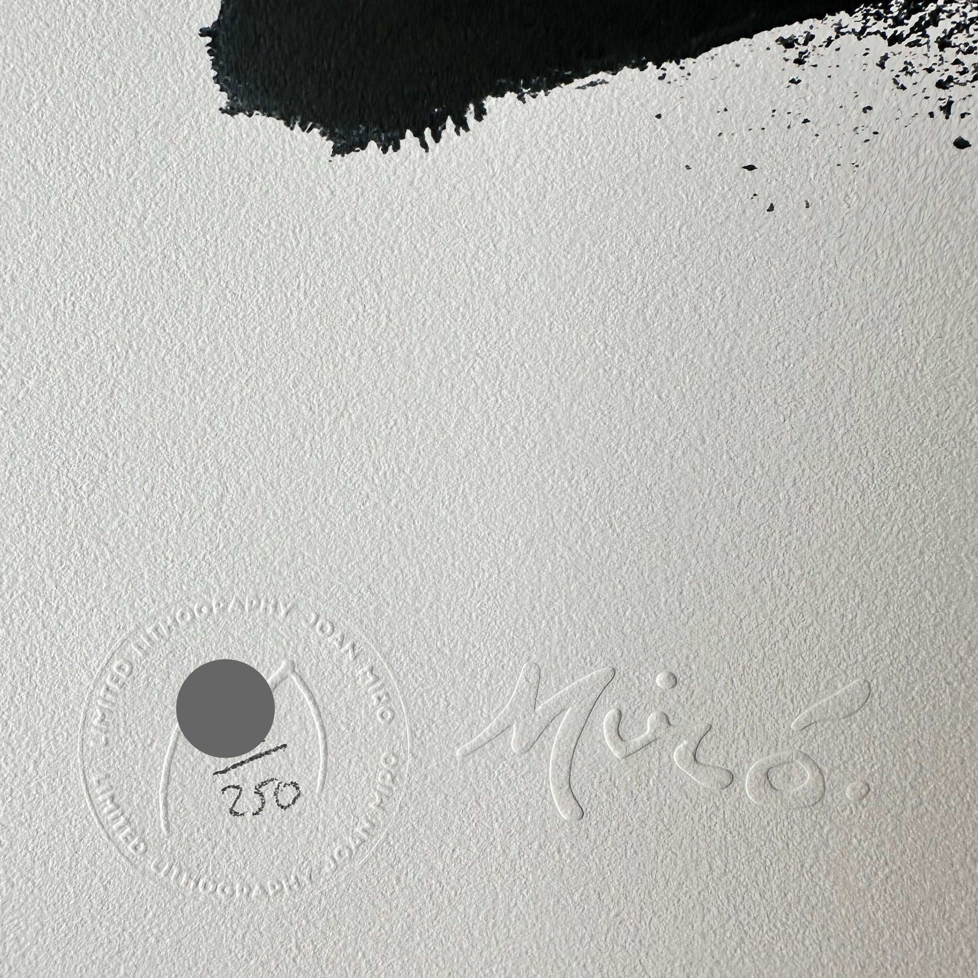 Joan miro