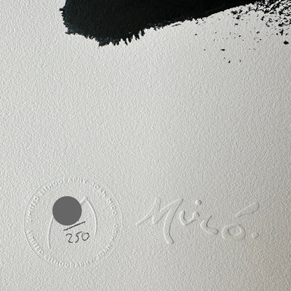 Joan miro