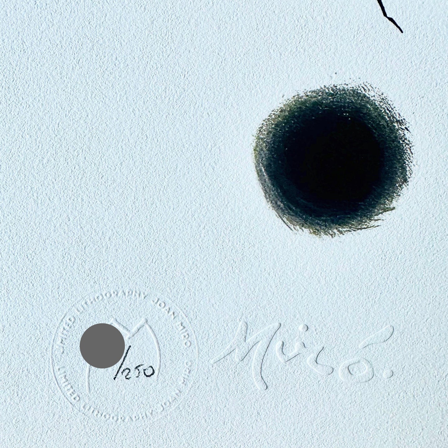 Joan miro