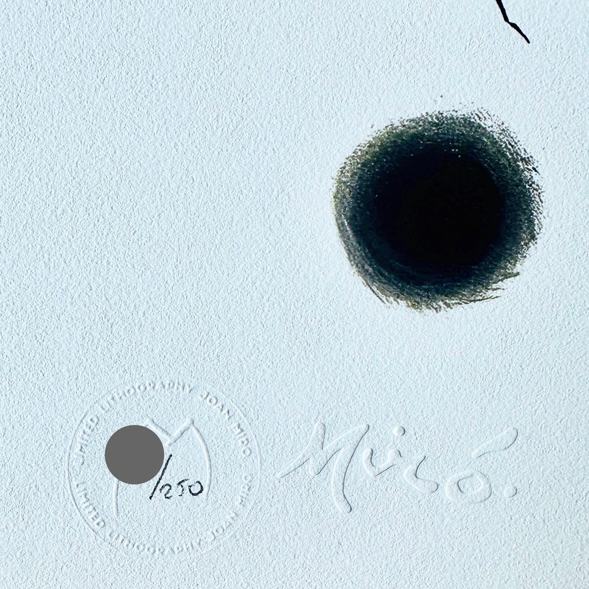 Joan miro