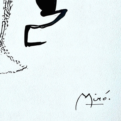 Joan miro