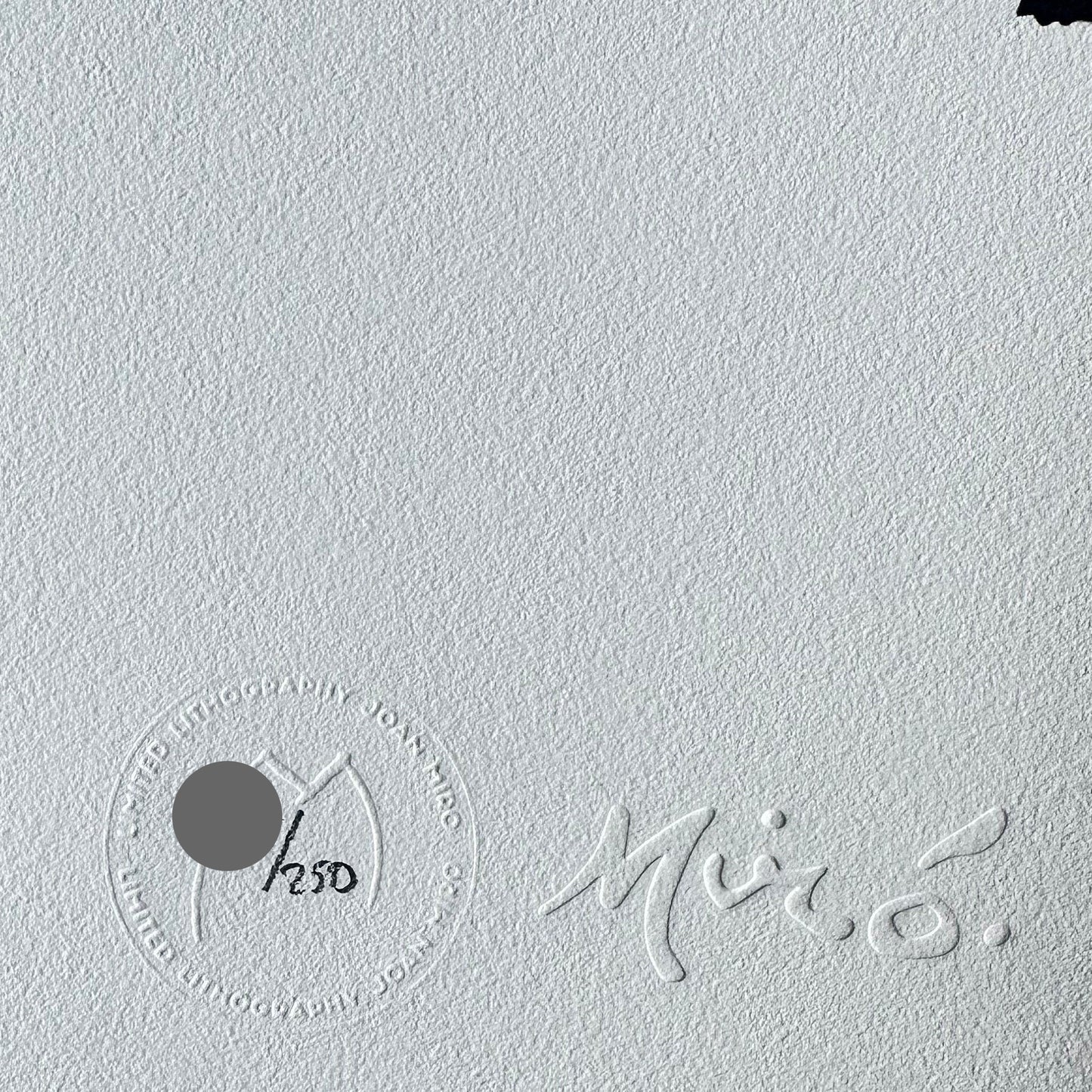 Joan miro