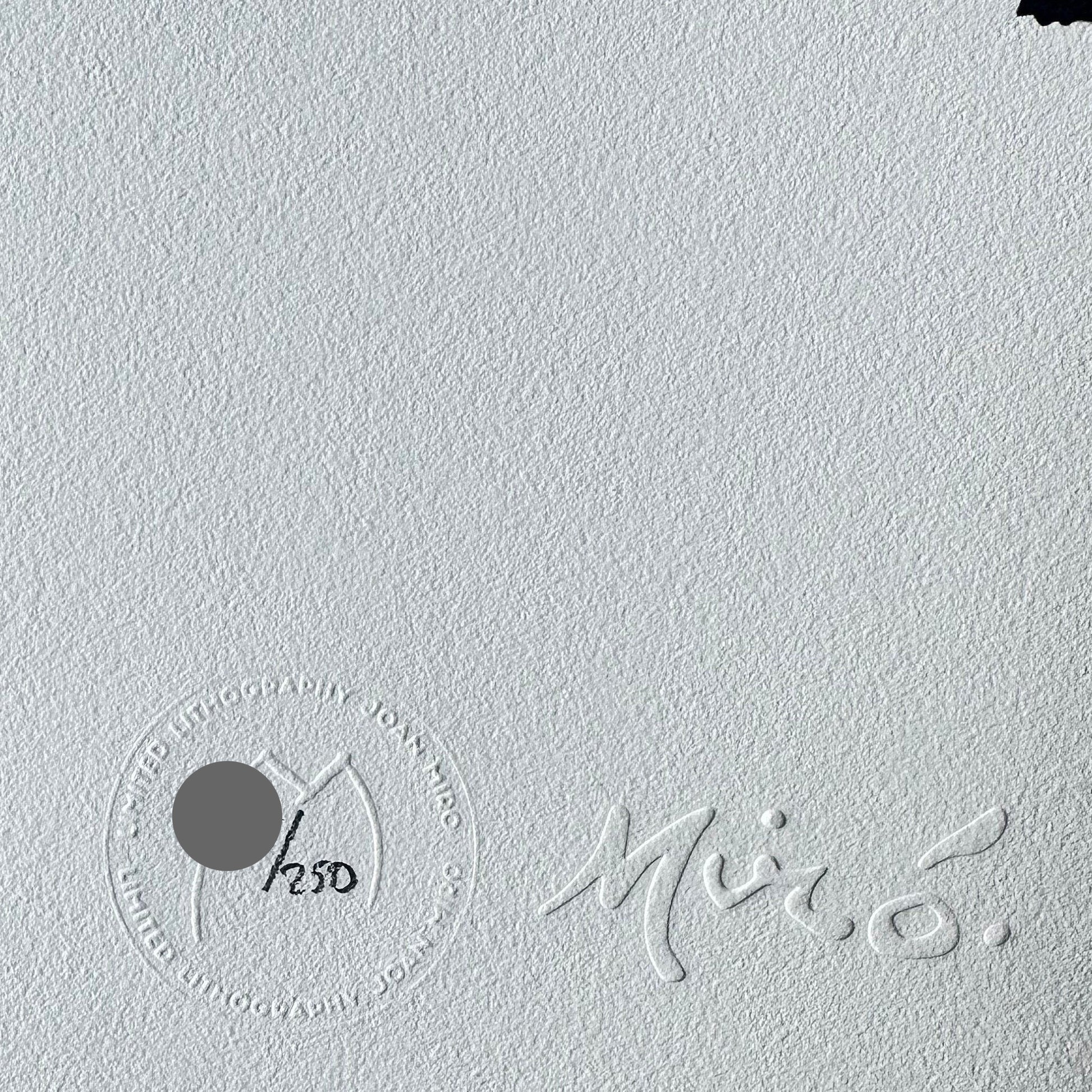 Joan miro