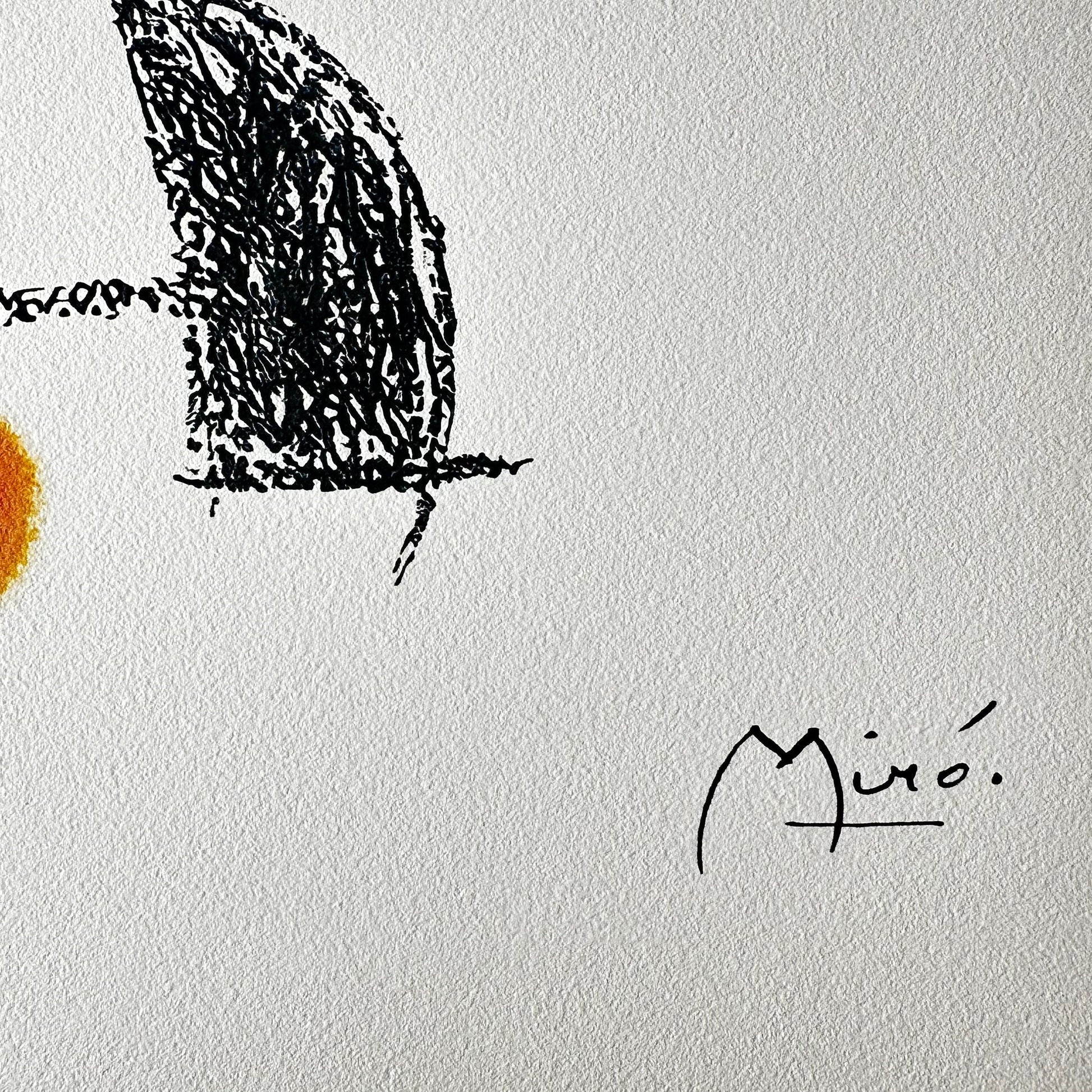 Joan miro