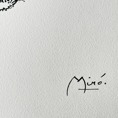 Joan miro