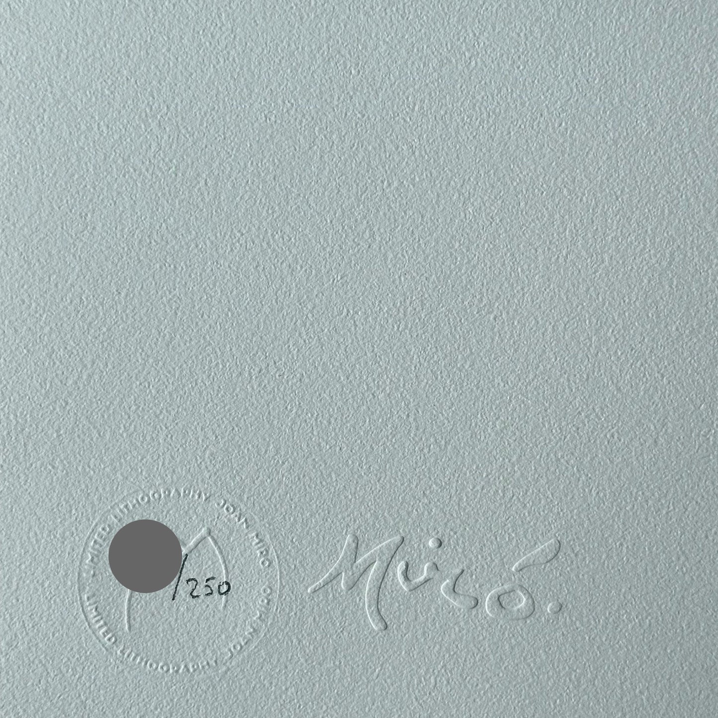Joan miro