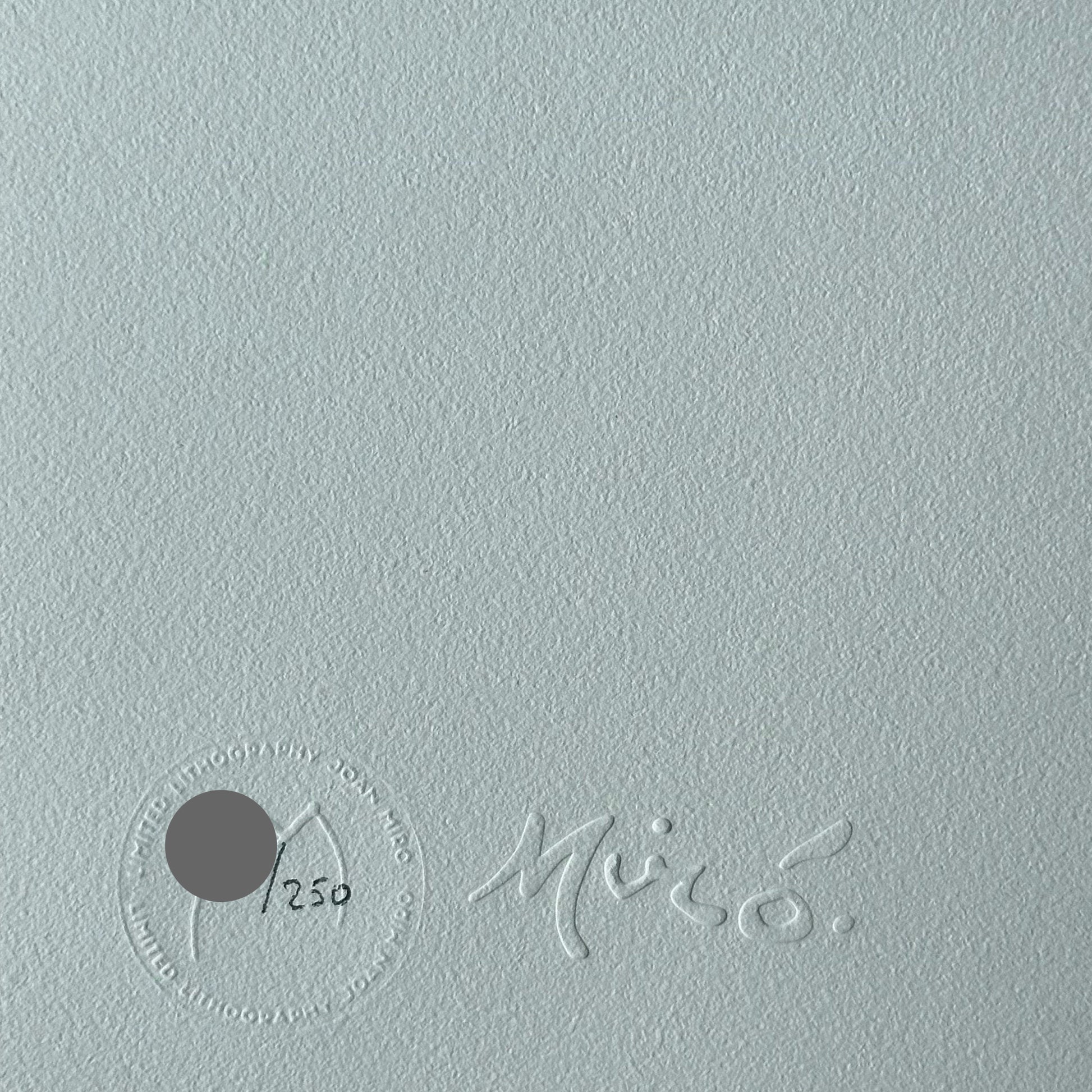 Joan miro