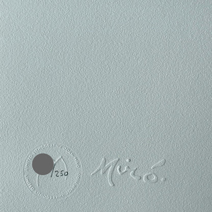 Joan miro