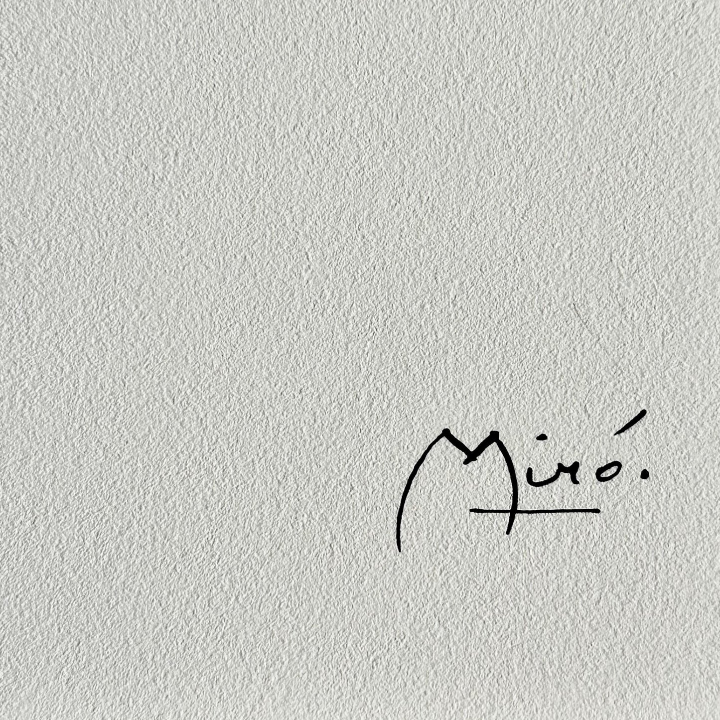 Joan miro