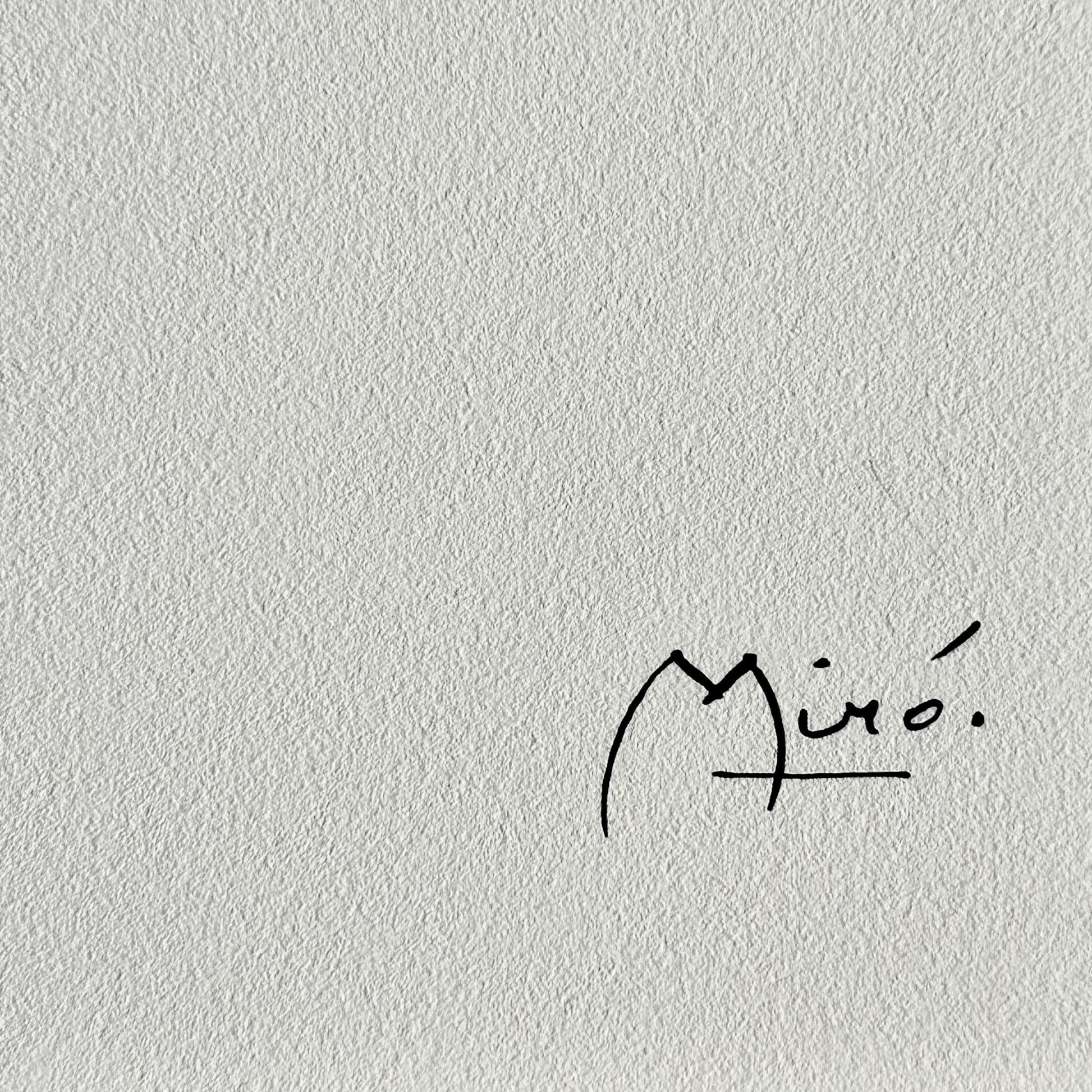 Joan miro