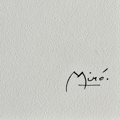 Joan miro