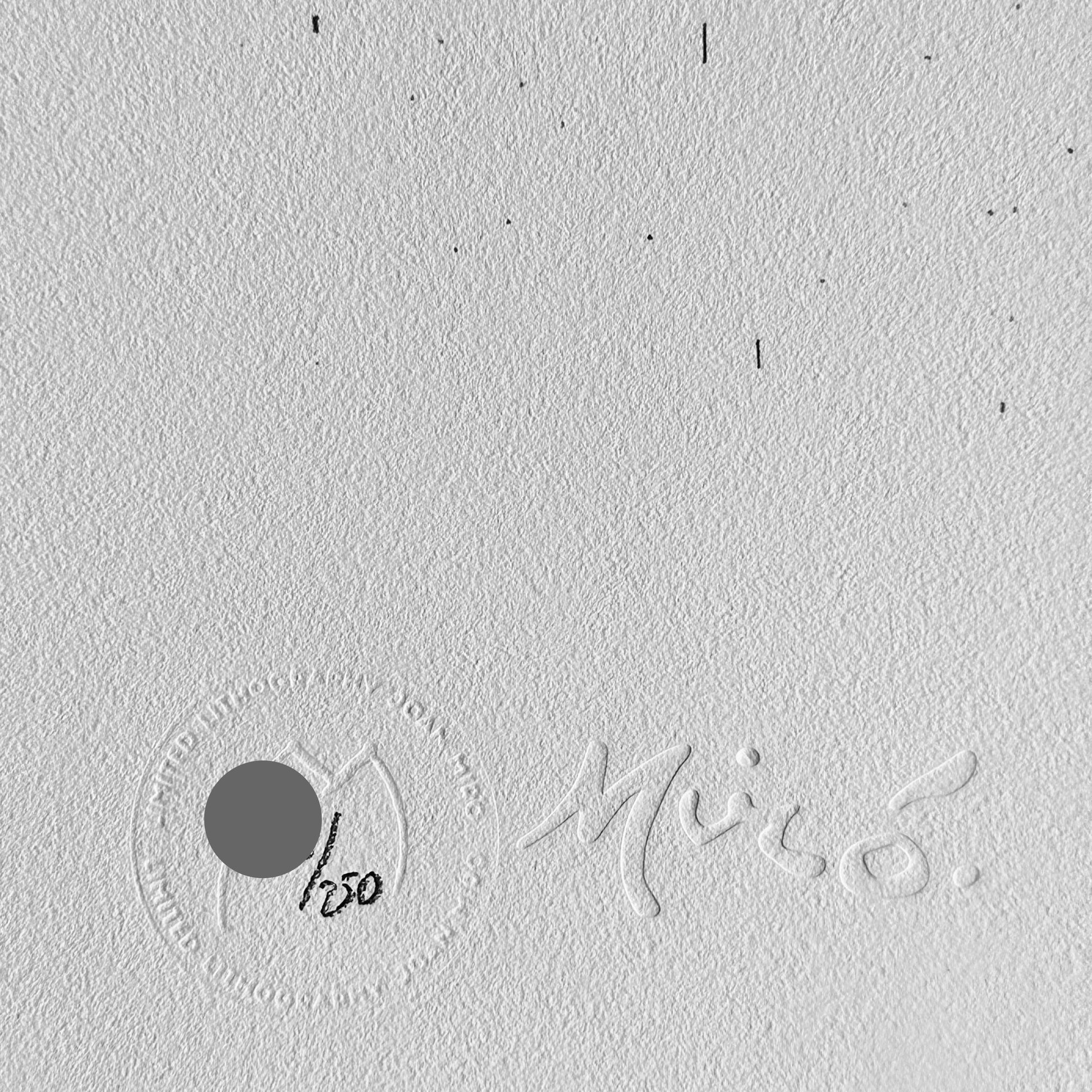 Joan miro