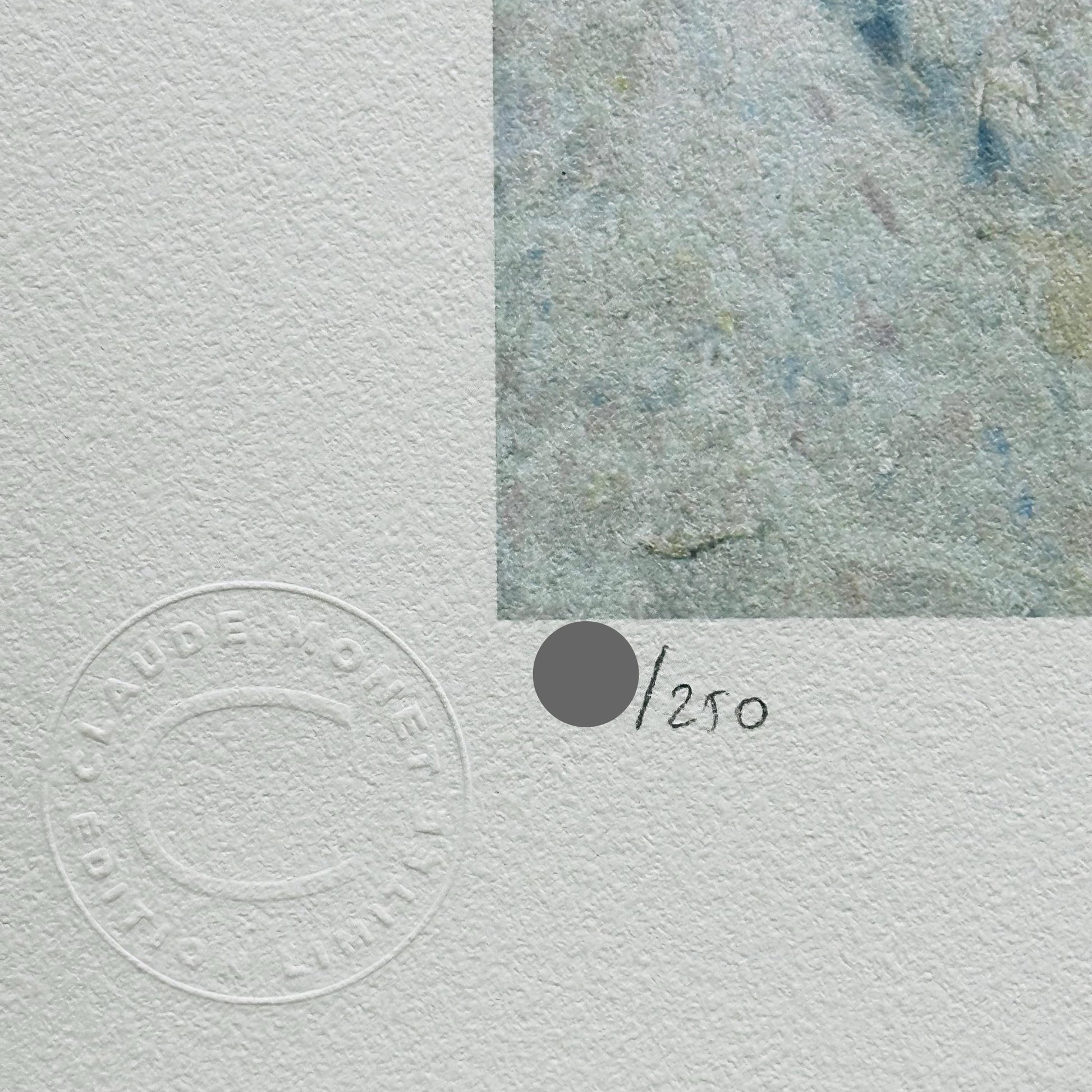 Genummerde editie Claude Monet," le pie " sneeuw landschap - Certificaat - kunstdecoratie - unieke kunst lithograph after